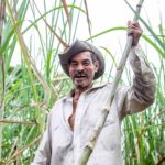 Agro sustenta geração de empregos no país, mas ritmo desacelera no início do ano